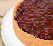 Čučoriedkový Cheesecake 8